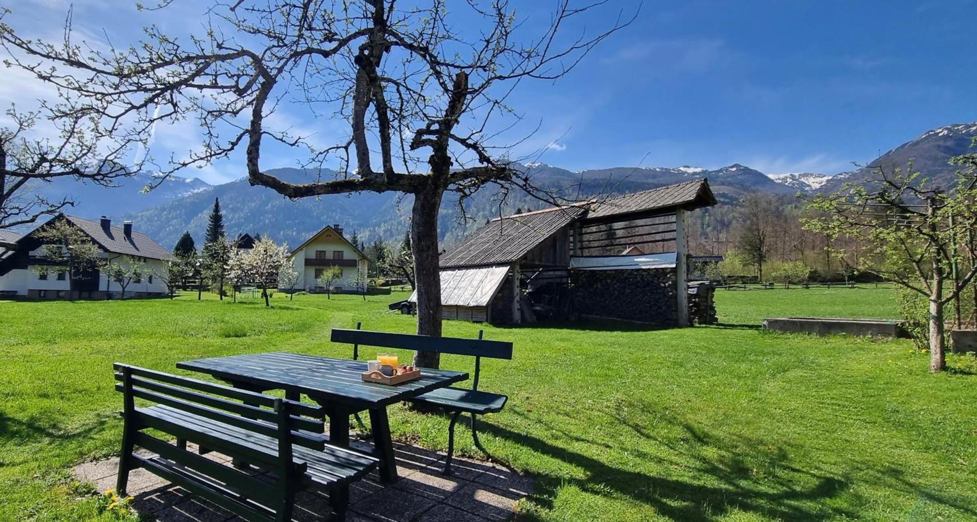 Apartments Skantar Bohinj Exterior photo